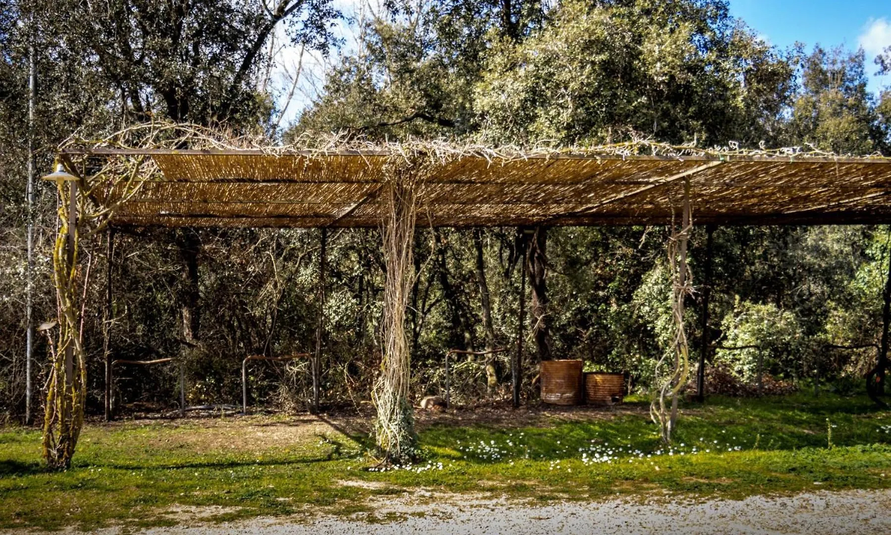 Mas Dalia - Casa Rural - Girona - Monells, Emporda Villa